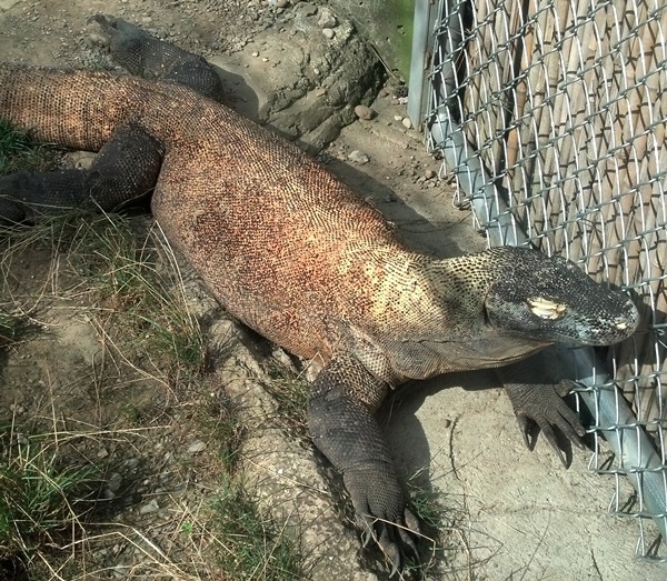 2015-07-29_09-57-51_152